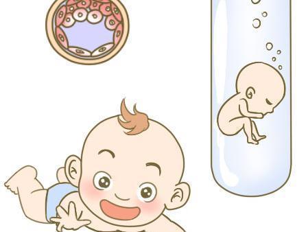 同性借卵助孕包生儿子
